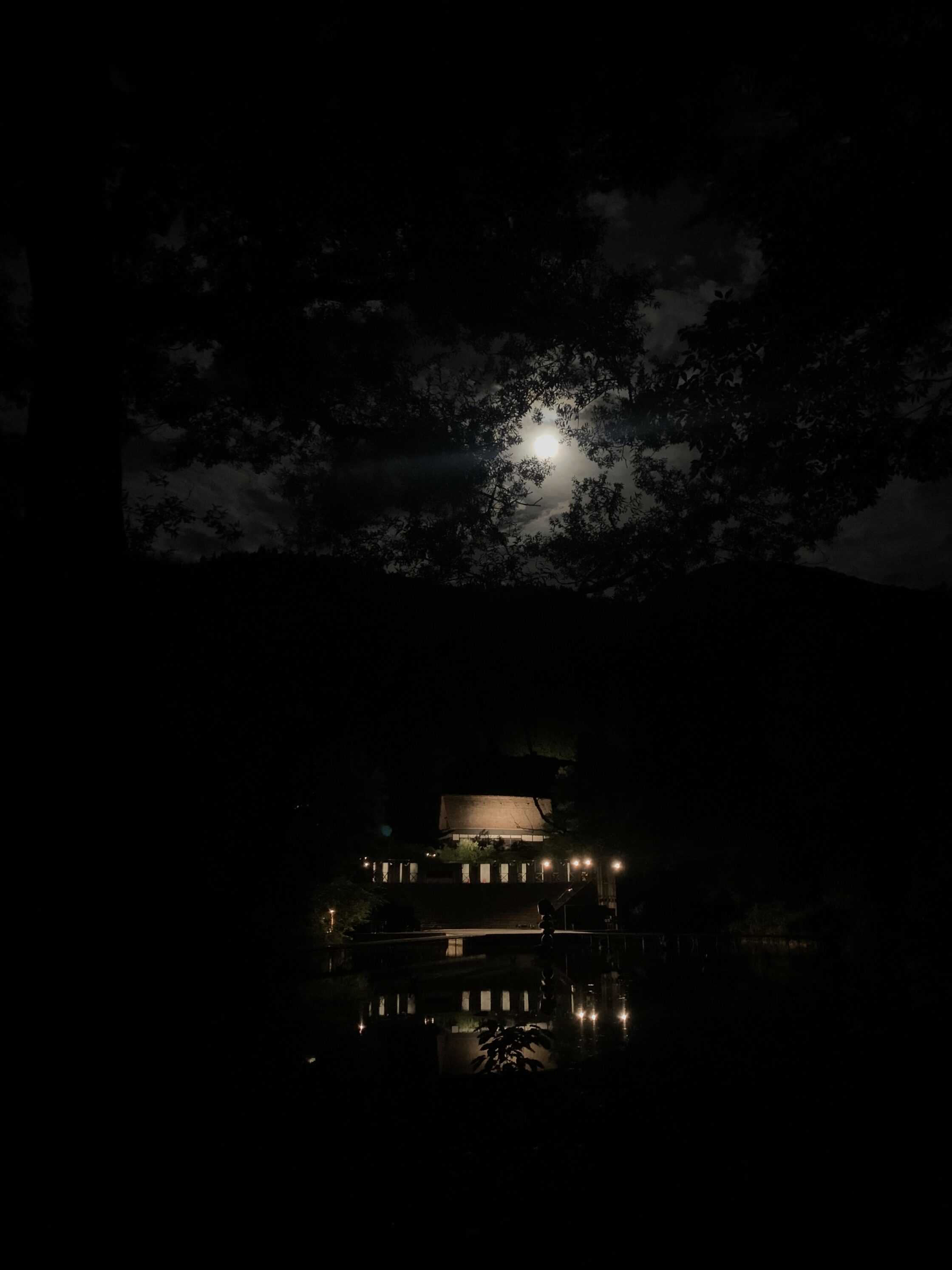 la luna piena illumina il cielo sopra il teatro Open Air di Toga